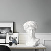 Norrclp 11in Greek Statue of David, Classic Roman Bust Greek Mythology Sculpture for Home Decor
