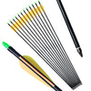 PANDARUS Archery 30inch 8mm Fiberglass Hunting Practice Arrows with Replaceable Arrowhead Spine 500 for Recure and Compound Bow Target