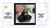 BandD Levitating Plant Pot - Floating Plant Pot for Small Plants. Levitating Decor for Home & Office . Magnetic Floating Levitating Display (Black)