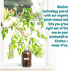 Back to the Roots Cherry Tomato Organic Windowsill Planter Kit - Grows Year Round, Includes Everything Needed For Planting