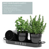 Barnyard Designs Indoor Herb Garden Planter Set with Tray, Metal Windowsill Plant Pots with Drainage for Outdoor or Indoor Plants, Black, Set/3