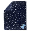 Plush Fleece Throw and Receiving Baby Blankets for Boys and Girls 30x40 (Blue Dino)