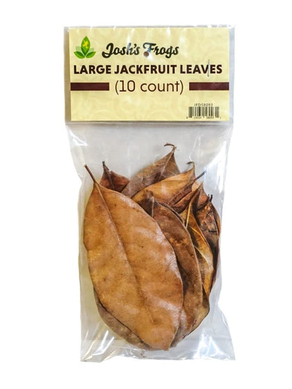 Josh's Frogs Large Jackfruit Leaf Litter (10 Count)