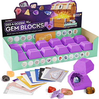 Dig a Dozen Gem Blocks Mining Kit for Kids - Discover 12 Unique Real Precious Gemstones, Mineral, Rocks, Crystals Collection - Archaeology Science Gift Toys Set for Boys & Girls Age 8-12 Gifts Party