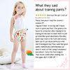 Toddler Girls Training Pants 4 Pack,Baby Girls Cotton Training Underwear,Potty Training Underwear Girls MUL 2T