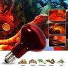 MCLANZOO Infrared Heat Lamp Bulbs 75W 2 Pack,Red Basking Spot Light Bulb Reptile Heating lamp for Bearded Dragon,Turtle,Snake,Leopard Gecko,Chicked with Digital Temperature Thermometer
