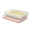 77L Deviled Egg Carrier with Lid, (Set of 2), Plastic Egg Holder for Refrigerator for 48 Eggs, Clear Storage Deviled Egg Containers Tray, Fridge Stackable Countertop Portable Egg Dispenser
