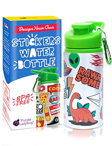 PURPLE LADYBUG DIY Water Bottle for Boys with Stickers - Great Gifts for Kids Boys, Return Gifts for Kids Birthday & Gifts for Boys 8-12 - Cool Stuff for Boys & Crafts for Boys Ages 6-8