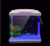 Oubest Fish Tank Rocks Glow Blue/Glow in The Dark Pebbles for Garden/Fish Tank/Aquarium/Plant Pots/Bonsai Walkway/Driveway 100pcs