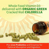 Garden of Life Vitamin D, Vitamin Code Raw D3, Vitamin D 2,000 IU, Raw Whole Food Vitamin D Supplements with Chlorella, Fruit, Veggies & Probiotics for Bone & Immune Health, 60 Vegetarian Capsules