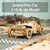 ROKR 3D Wooden Puzzle for Adults-Mechanical Car Model Kits-Brain Teaser Puzzles-Vehicle Building Kits-Unique Gift for Kids on Birthday/Christmas Day(1:16 Scale)(MC401-Grand Prix Car)