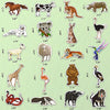 DETICKERS Animal Stickers for Kids Cute Animal Stickers for Water Bottles Farm Animal Reward Stickers for Students Zoo Animal Vinyl Stickers Pack