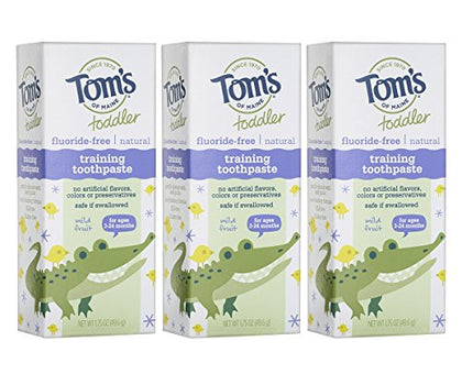 Tom's of Maine Fluoride-Free Toddler Training Toothpaste, Mild Fruit, 1.75 oz. 3-Pack (Packaging May Vary)