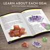 NATIONAL GEOGRAPHIC Mega Gemstone Dig Kit - Dig Up 15 Real Gemstones and Crystals, Science/Mining Kit for Kids, Gift for Girls and Boys, Rock Collection (Amazon Exclusive)