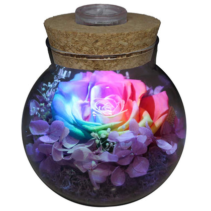 roliys Preserved Real Roses with Colorful Mood Light Wishing Bottle,Eternal Rose?Never Withered Flowers,for Bedroom Party Table Decor, Christmas Anniversary,Valentine's,Mother's Day, (Multi)