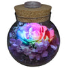 roliys Preserved Real Roses with Colorful Mood Light Wishing Bottle,Eternal Rose?Never Withered Flowers,for Bedroom Party Table Decor, Christmas Anniversary,Valentine's,Mother's Day, (Multi)