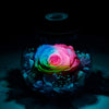 roliys Preserved Real Roses with Colorful Mood Light Wishing Bottle,Eternal Rose?Never Withered Flowers,for Bedroom Party Table Decor, Christmas Anniversary,Valentine's,Mother's Day, (Multi)