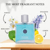 NovoGlow Verse Pour Homme Eau De Parfum Spray for Men Long Lasting Citrusy Floral & Masculine Fragrance Smell Fresh All Day Long Gift for Men for All Occasions