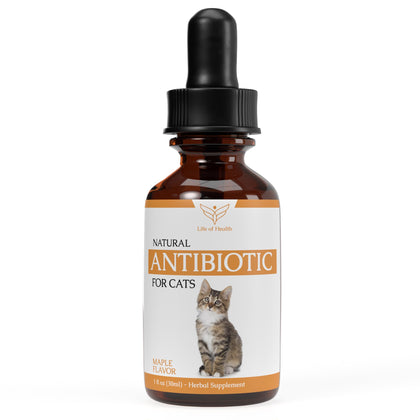 Natural Antibiotics for Cats - Cat Antibiotics - Cat Antibiotic - Pet Antibiotics - Cat Immune Support - Antibiotic for Cats - Cat Multivitamin - Cat UTI Antibiotics - 1 fl oz: Maple Flavor