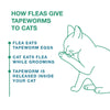 Elanco Tapeworm Dewormer (praziquantel tablets) for Cats and Kittens 6 Weeks and Older, 3-count