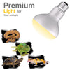 ReptiKing Reptile Heat Bulb Lamp, 2-Pack 75W Daylight Basking Spot, Bearded Dragon/Turtle/Lzard/Gecko Light Bulb, UVA Heat Lamp, Basking Light for Reptiles