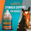 Alimend Stomach Support for Horses, 64 Fluid Ounce (1893 ml)