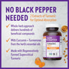 New Chapter Turmeric Supplement, One Daily, Heart, Brain & Healthy Inflammation Support, Supercritical Turmeric Curcumin Means No Black Pepper Needed, Non-GMO, Gluten Free - 120 Count (4 Month Supply)