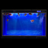 ELEBOX Aquarium Background Blue Black Fish Tank Background Picture 2 Sides Fish Backdrop for Aquarium Wallpaper 20
