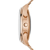 Skagen Women Jorn Hybrid HR - 38mm Stainless Steel Mesh Hybrid HR Smart Watch, Color Rose Gold (Model: SKT3100)