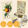 SOONYO Vintage Botanical Illustration Tarot Aesthetic Pictures Wall Collage Kit, Trendy Small Poster for Dorm, Vintage Style Art Print Photo Collection (Multicolor, 50pcs)