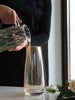 FANTESTICRYAN Modern Glass Vase Irised Crystal Clear Glass Vase for Home Office Decor
