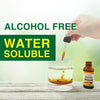 Lovita Bee Propolis 500 mg Liquid Extract | 9:1 Propolis Extract | Alcohol Free | Immune Support |1 Fl Oz