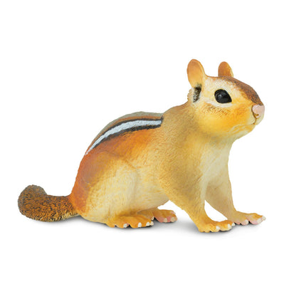 Safari Ltd. Eastern Chipmunk Figurine - Detailed 7