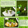 Chuangdi 12 Pieces Miniature Dollhouse Plant Flowers Mini Potted Plant Artificial Tiny Greenery Ornament Miniature Hanging Potted Plant Faux Flower Model Dollhouse Decoration, 6 Types