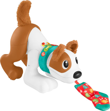 Fisher-Price Baby Learning Toy 123 Crawl With Me Puppy Electronic Dog With Smart Stages Content & Lights For Ages 6+ Months