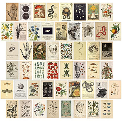 KOSKIMER 50PCS Vintage Wall Collage Kit Aesthetic Pictures, Posters, Cottagecore Room Decor for Bedroom Aesthetic, Cute Dorm Photo Collage for Teen Girls, Botanical Wall Art