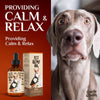 Charlie Buddy - H?mp Oil for Dogs Cats - Hi? and J?int Supp?rt and Skin H?alth - Anxi?ty, C?lm, P?in - Omega 3, 6, 9 and Vit?mins B, C, E