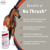 Four Oaks Farm Ventures, No Thrush Dry Powder Treatment for Horses - Wound Care, Scratches, Rain Rot, Mud Fever, Coat Issues - All Natural Ingredients, Non-caustic, Easy to Use Powder Formula (2.5 oz)