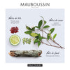 Mauboussin - Discovery 100ml (3.3 Fl Oz) - Eau de Parfum for Men - Woody, Aromatic & Citrusy Scents