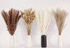 Dried Pampas Grass Decor, 100 PCS Pampas Grass Contains Bunny Tails Dried Flowers, Reed Grass Bouquet for Wedding Boho Flowers Home Table Decor, Rustic Farmhouse Party (White and Brown)