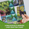 Ecosystem - A Family Card Game about Animals, their Habitats, and Biodiversity - Card Game for Kids 10+ and Adults - Family Games - Kids Board Games for Environmental Science Class - Fun Board Games