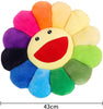 SNEPOO Smile Face Plush Rainbow Pillow, Sunflower Indie Decor Plush Pillow Soft & Comfortable Flower Floor Pillow for Home Reading Bed Room Decoration
