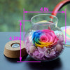 roliys Preserved Real Roses with Colorful Mood Light Wishing Bottle,Eternal Rose?Never Withered Flowers,for Bedroom Party Table Decor, Christmas Anniversary,Valentine's,Mother's Day, (Multi)