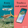 Fahlo Sea Turtle Tracking Bracelet, Elastic, Supports The Sea Turtle Conservancy, one Size fits Most for Men and Women (Sky Stone)