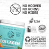 Vegan Collagen Protein Powder Plant-based | Hyaluronic Acid Minerals Biotin Soy Free Dairy Free Gluten Free NON-GMO | Vanilla 20 Servings | Collagen Building Peptides by Sunwarrior
