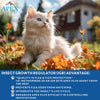 Apex Plus Flea Treatment for Cats, 1.5+ lbs - Cat Flea, Tick, Flea Eggs, Flea Larvae, and Chewing Lice Prevention for 30-Days - 6-Month Supply