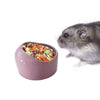 PENCK Small Ceramic Hamster Food and Water Bowl Hedgehog Ferret Rat Gerbil Gerbil Chinchilla Guinea Pig Rabbit Dish Small Animal Food Water Feeder (Light Purple)