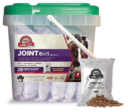 Formula 707 Joint 6in1 Equine Supplement, Daily Fresh Packs - Support for Joint Integrity and Inflammatory Response in Horses - Green-Lipped Mussel, MSM, Glucosamine, Chondroitin & Collagen