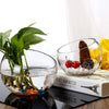 WGVI Clear Slant Cut Bowl Glass Vase, Glass Terrarium, Candy Dish, Glassware, Slant Open: 7