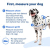 PetSafe Easy Walk Dog Harness - Stop Pulling & Teach Leash Manners - Prevent Pulling on Walks - Medium, Raspberry/Gray
